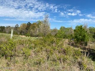 0 Maynards Mill Road, Unit PARCEL 8C Forsyth, GA 31029 - Photo 3 of 6 a view of a bunch of trees in a field