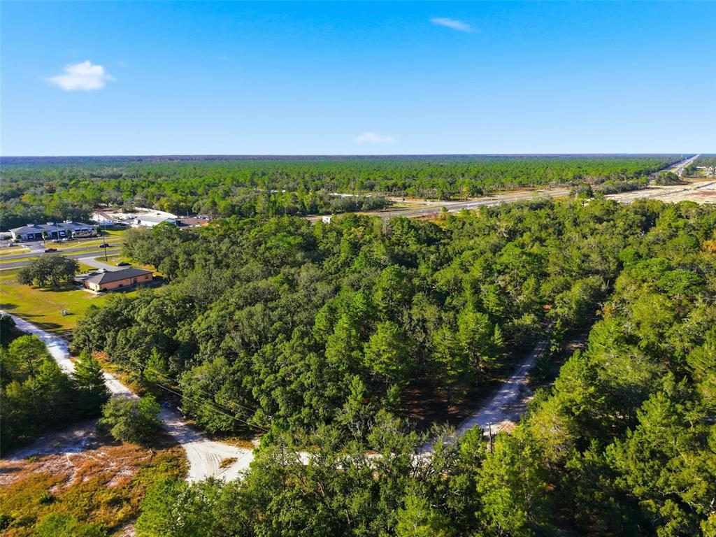 11254 Commercial Way Weeki Wachee, FL 34614 - Photo 15 of 15 a view of a city
