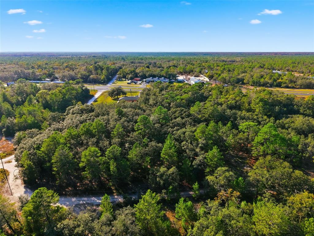 11254 Commercial Way Weeki Wachee, FL 34614 - Photo 3 of 15 a view of a city with lush green forest