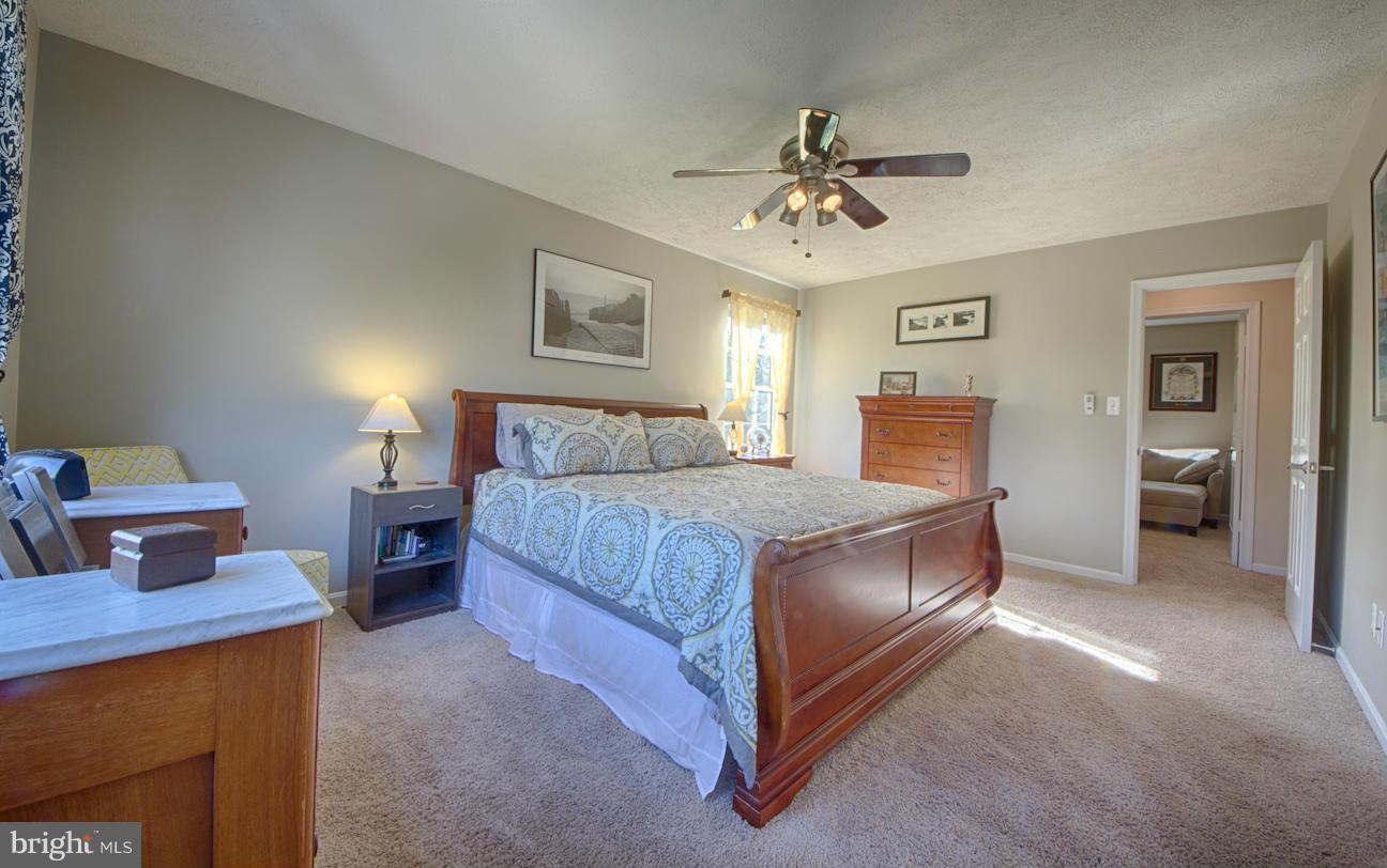 317 Silver Ridge Drive Sterling, VA 20164 - Photo 13 of 26 Bedroom (Master)