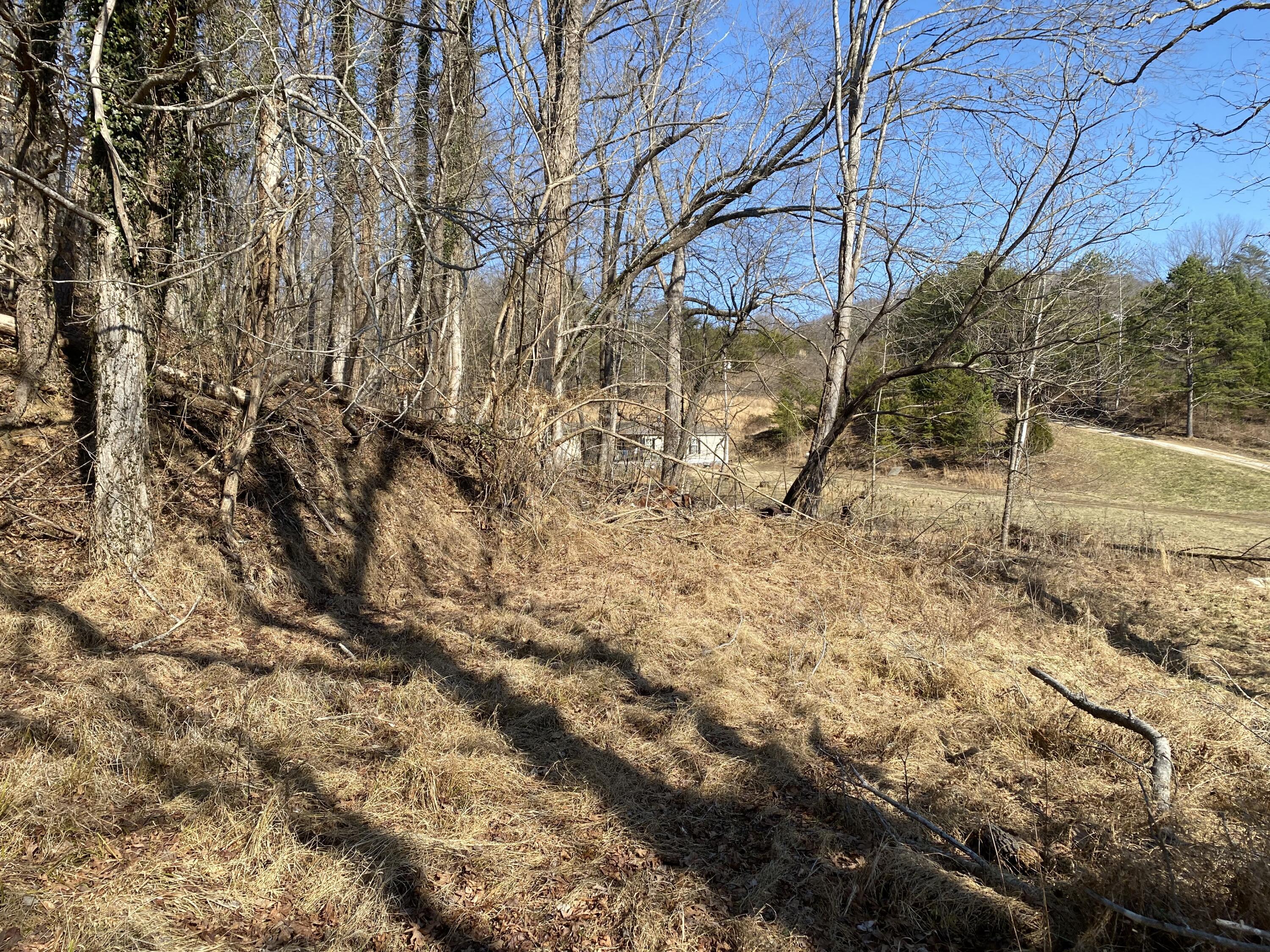 371 Jarvis Branch Road Barbourville, KY 40906 - Photo 47 of 51 20250201214350242941000000-o