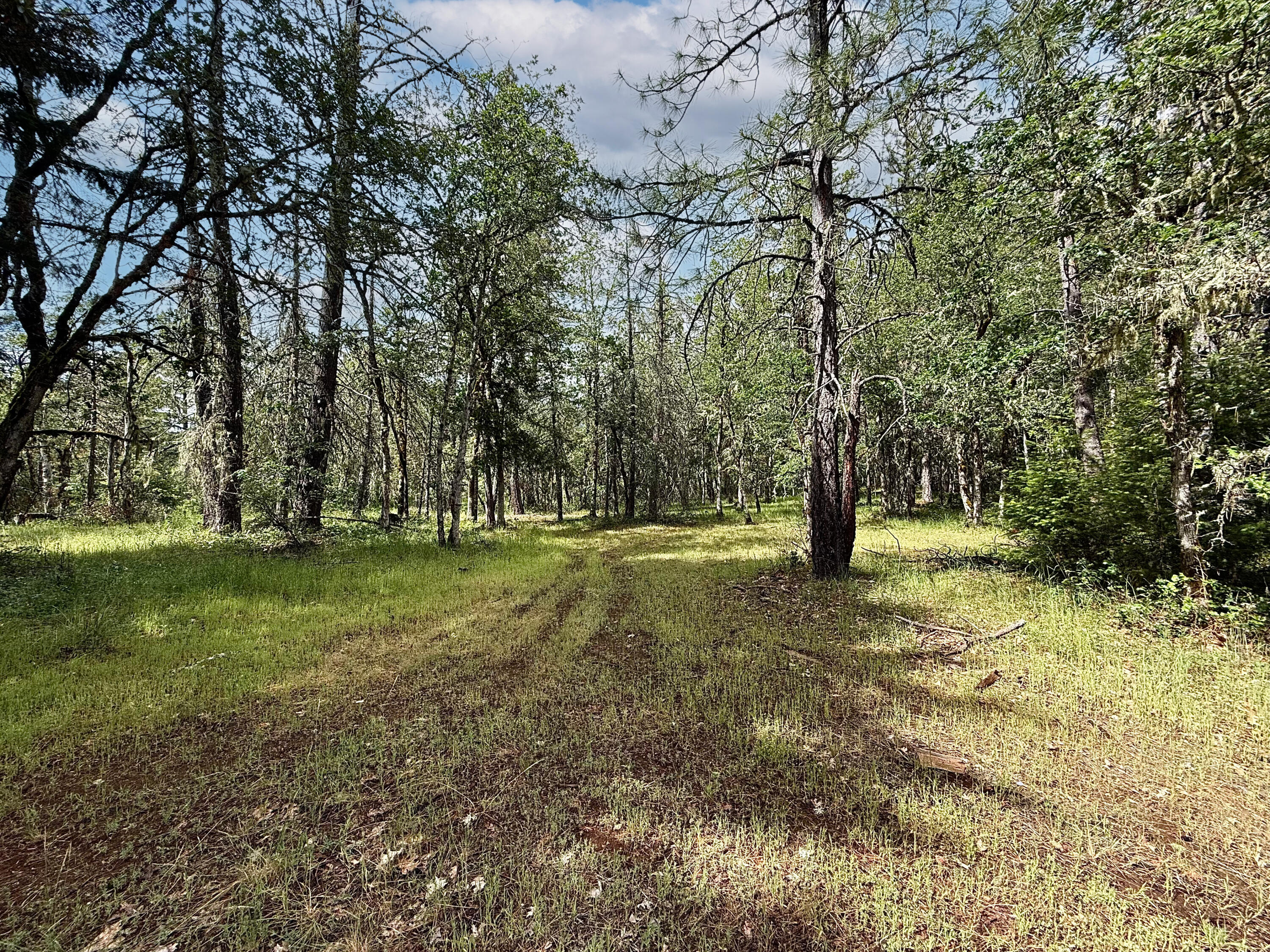42256 Highway 62 Prospect, OR 97536 - Photo 28 of 48 a view of outdoor space with trees