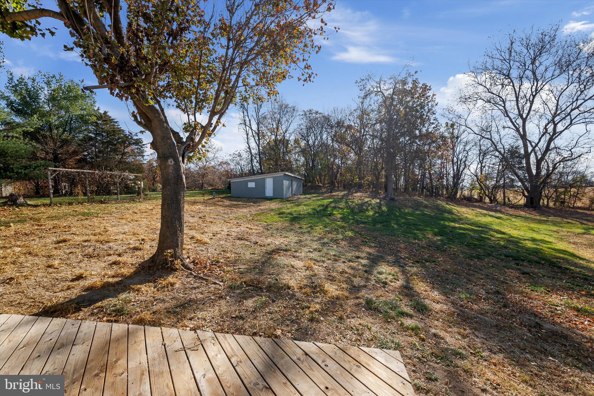 482 Rittenour Road Edinburg, VA 22824 - Photo 37 of 45