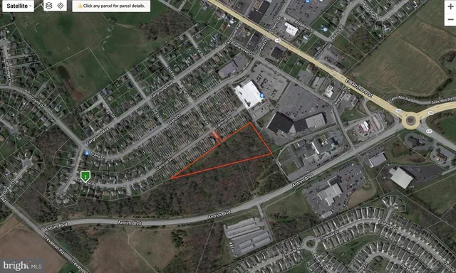 a view of a yard with a large tree