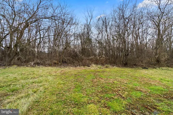 a view of backyard with green space