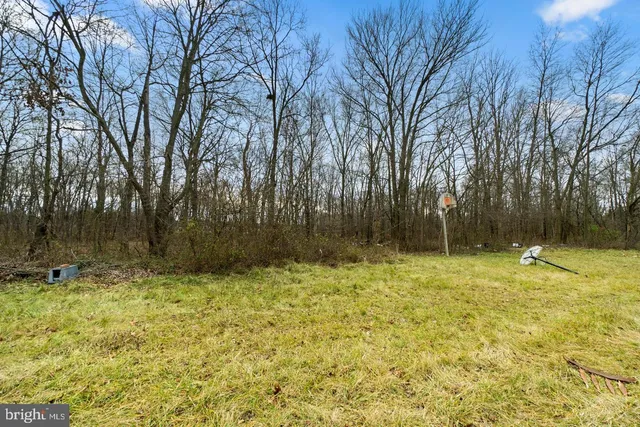 a view of yard with trees