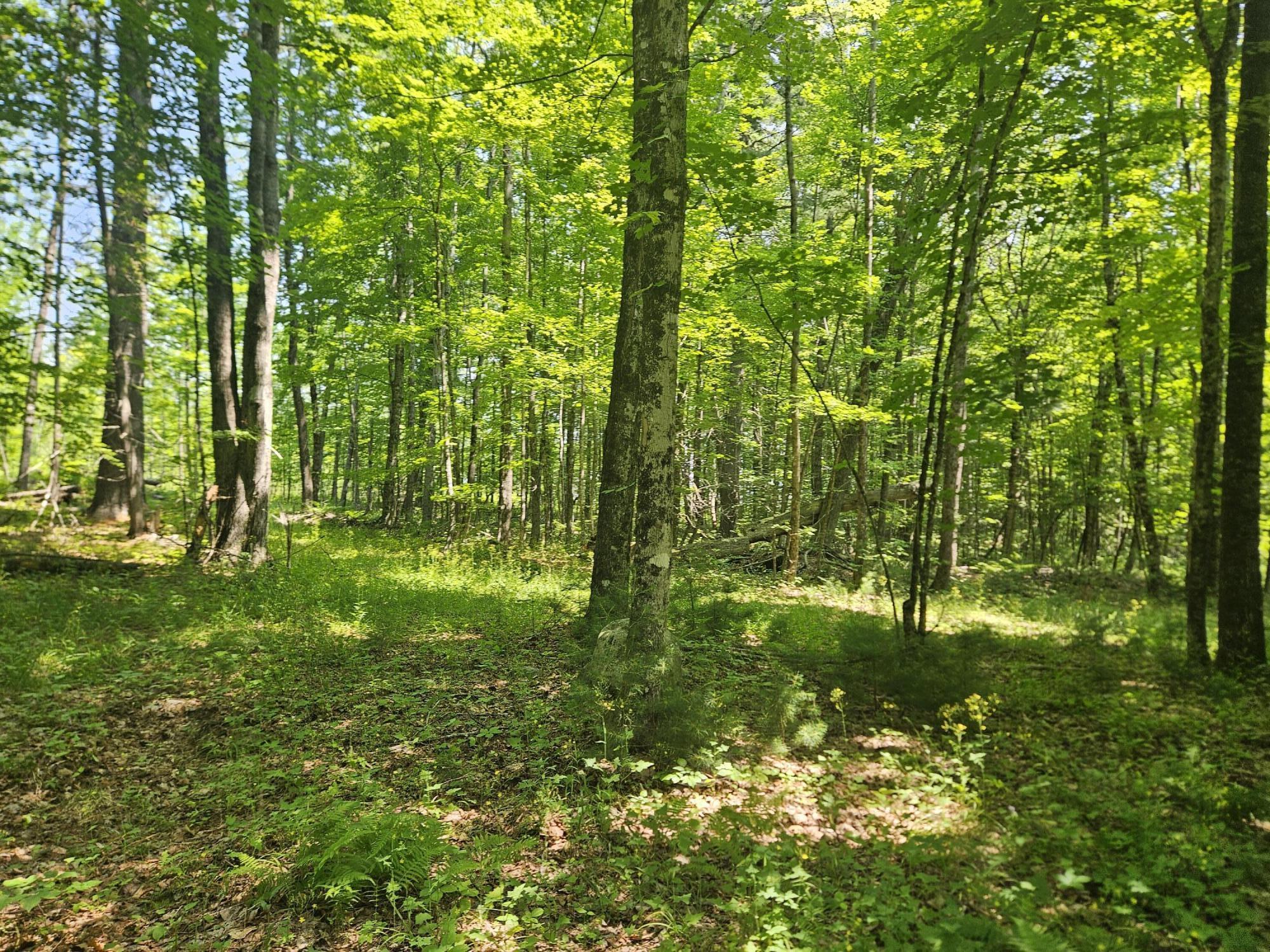 Lot 5 North Merrill Road Harmony, ME 04942 - Photo 11 of 11 20260708_111833