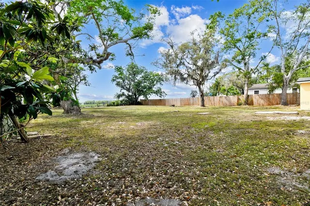 a view of a trees with a big yard