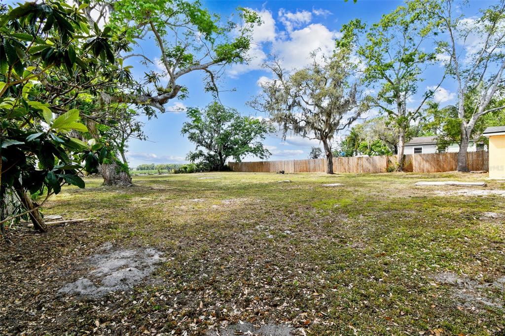 3414 Lindsey Street Dover, FL 33527 - Photo 7 of 45 a view of a trees with a big yard
