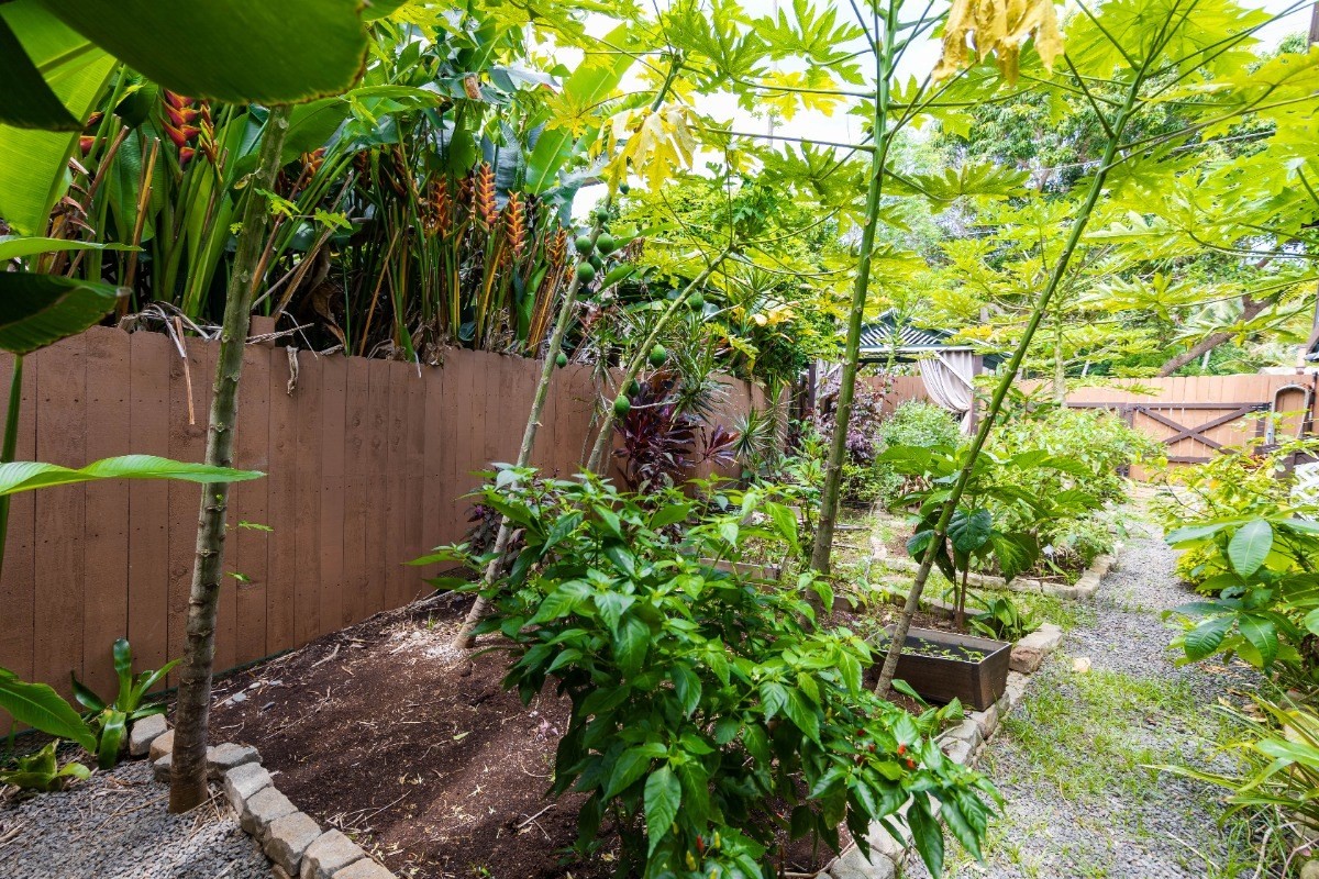 3590 Moloaa Road Kilauea, HI 96754 - Photo 11 of 22 a backyard of a house with lots of green space