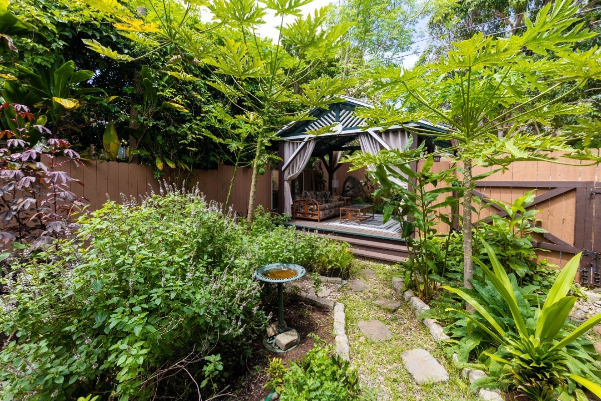3590 Moloaa Road Kilauea, HI 96754 - Photo 12 of 22 a backyard of a house with lots of green space