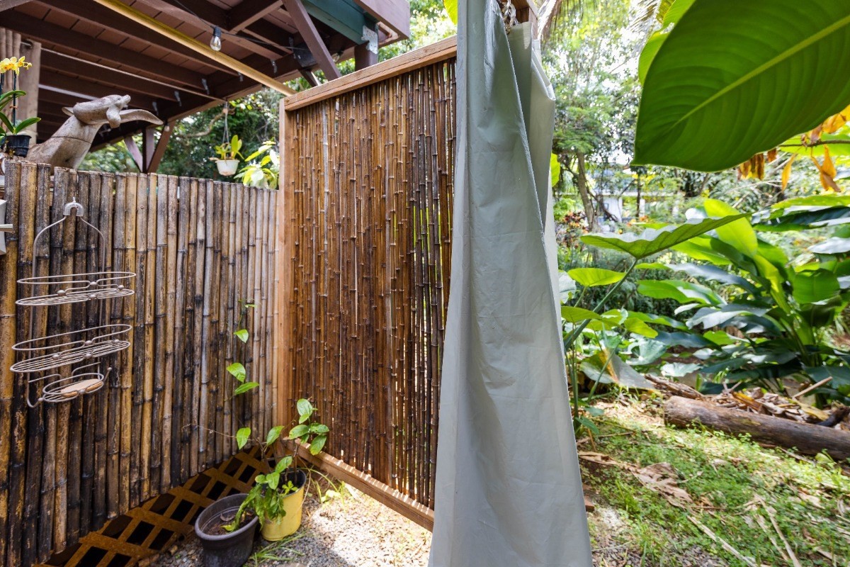 3590 Moloaa Road Kilauea, HI 96754 - Photo 14 of 22 a view of a backyard of the house