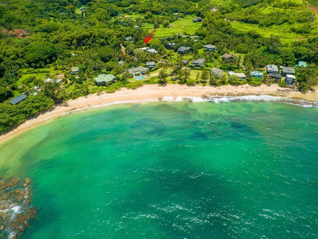 3590 Moloaa Road Kilauea, HI 96754 - Photo 19 of 22 a backyard of a house with lots of green space