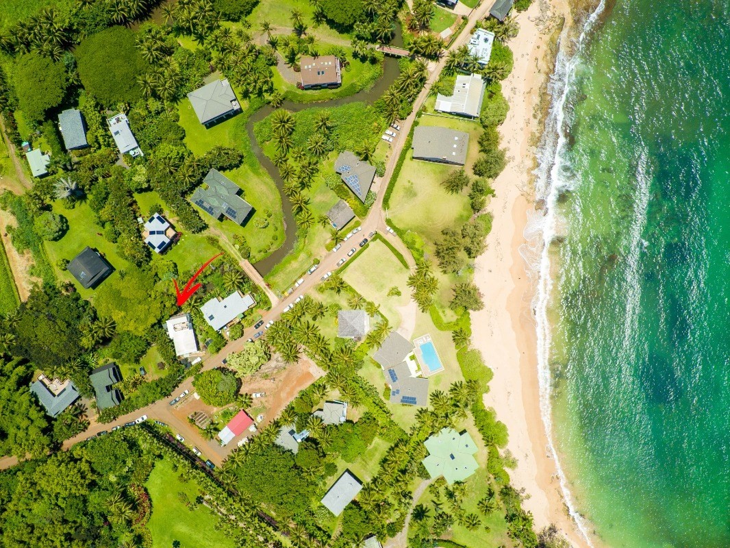 3590 Moloaa Road Kilauea, HI 96754 - Photo 21 of 22 a backyard of a tree