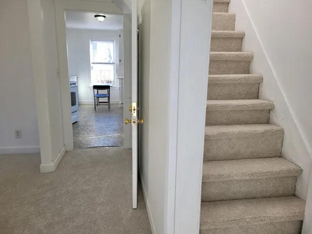 a living room with couches and a potted plant