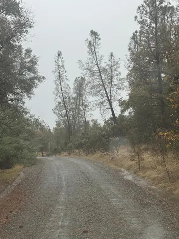 a view of a field with trees in the background