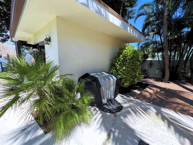 a view of a backyard with potted plants