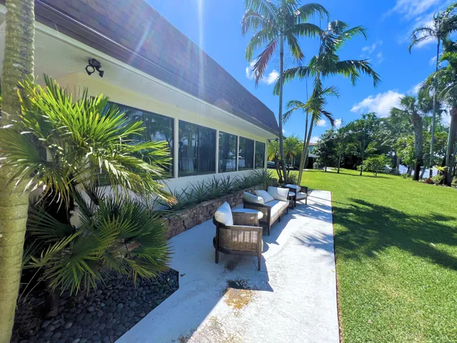 a view of a patio with couches and a potted plant