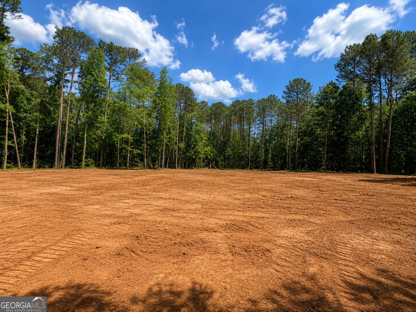 10020 Jefferson River Road Athens, GA 30607 - Photo 3 of 4 Level wooded building site