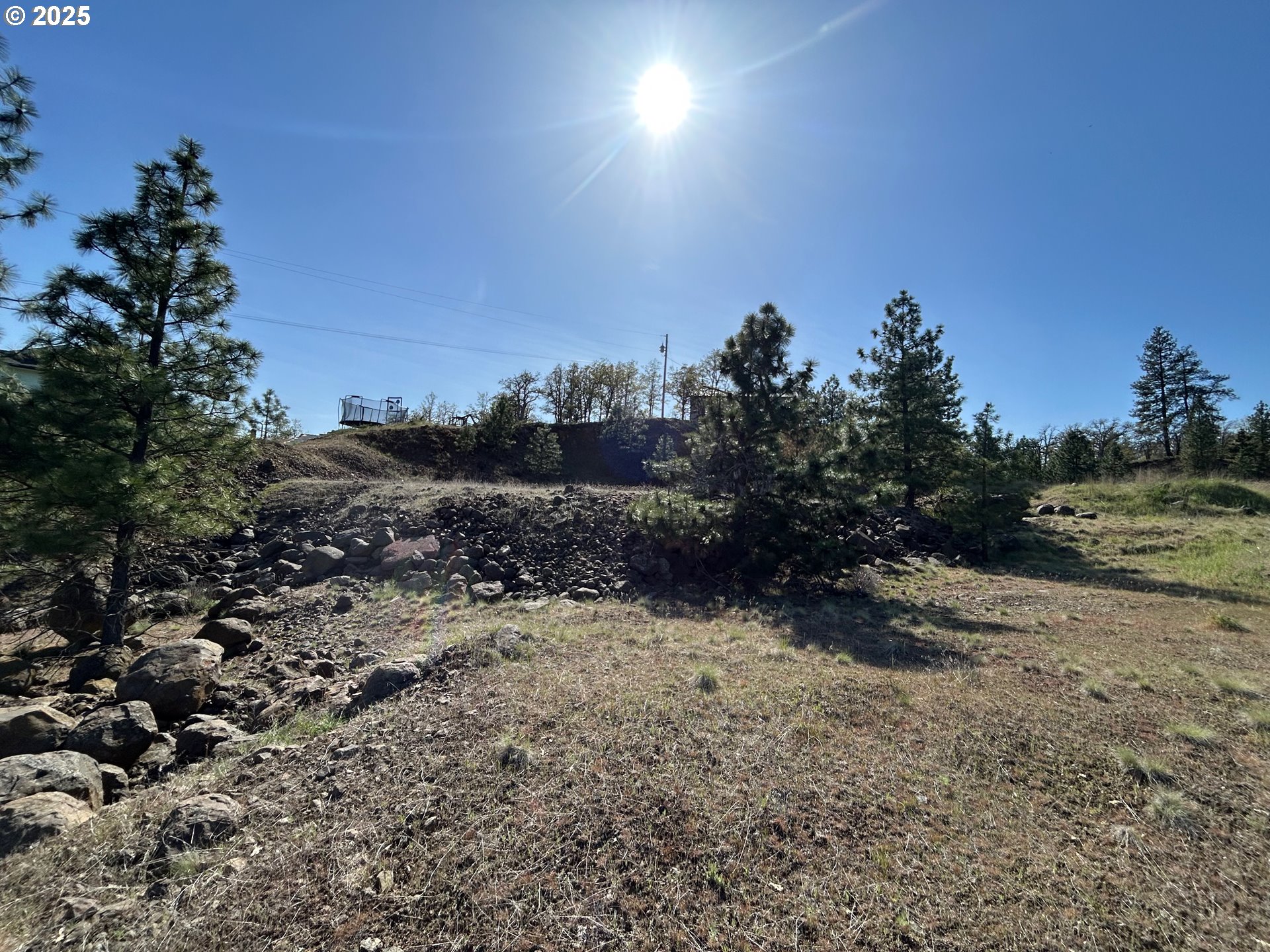 Pipeline Road Goldendale, WA 98620 - Photo 4 of 5 a view of a yard with a tree