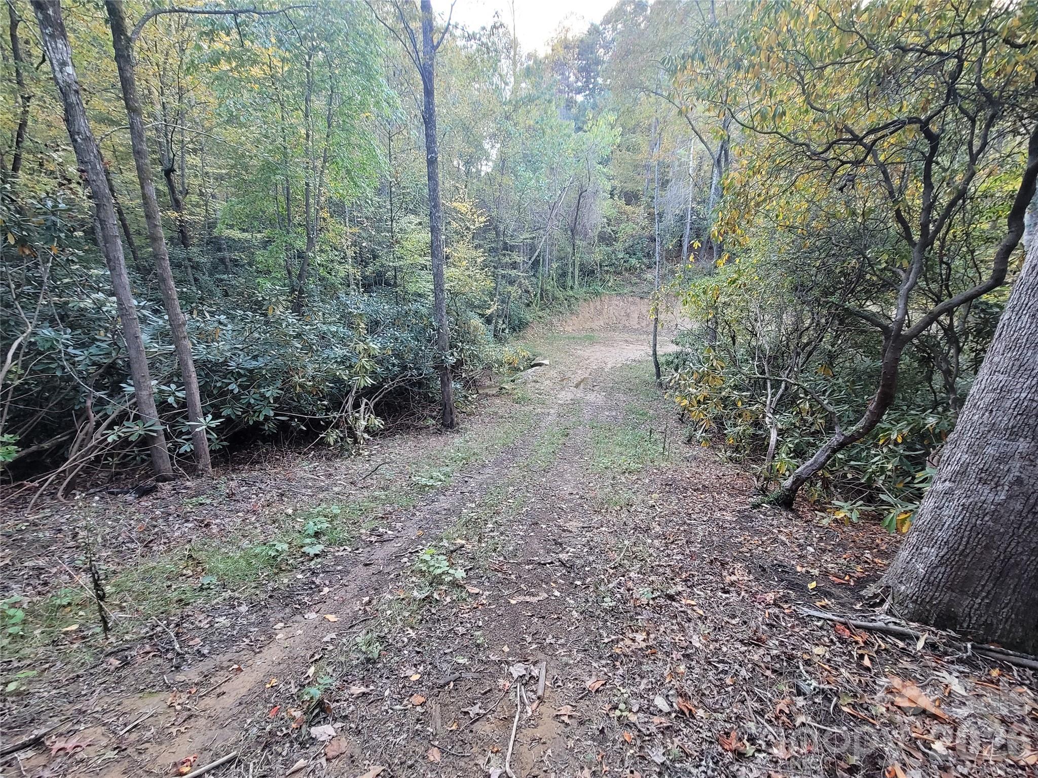 0 Big Hungry Road Flat Rock, NC 28731 - Photo 23 of 40