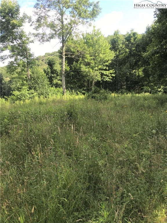 2040 Greer Town Road Lansing, NC 28643 - Photo 2 of 7