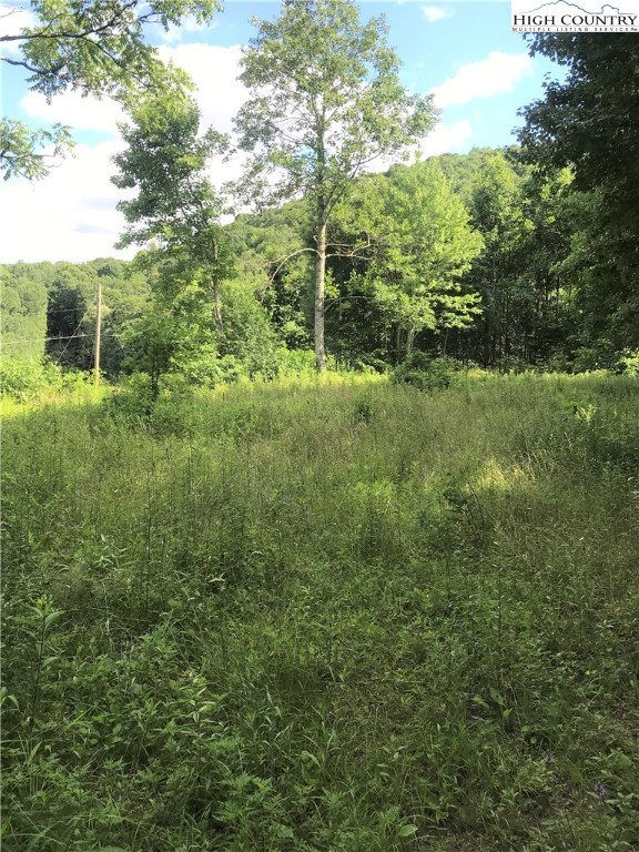 2040 Greer Town Road Lansing, NC 28643 - Photo 4 of 7