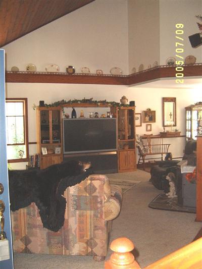 3085 Orshal Road Whitehall, MI 49461 - Photo 5 of 13 Additional Photo
