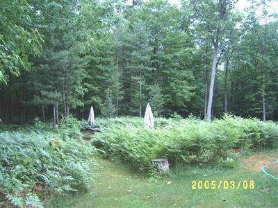 3085 Orshal Road Whitehall, MI 49461 - Photo 10 of 13 Additional Photo
