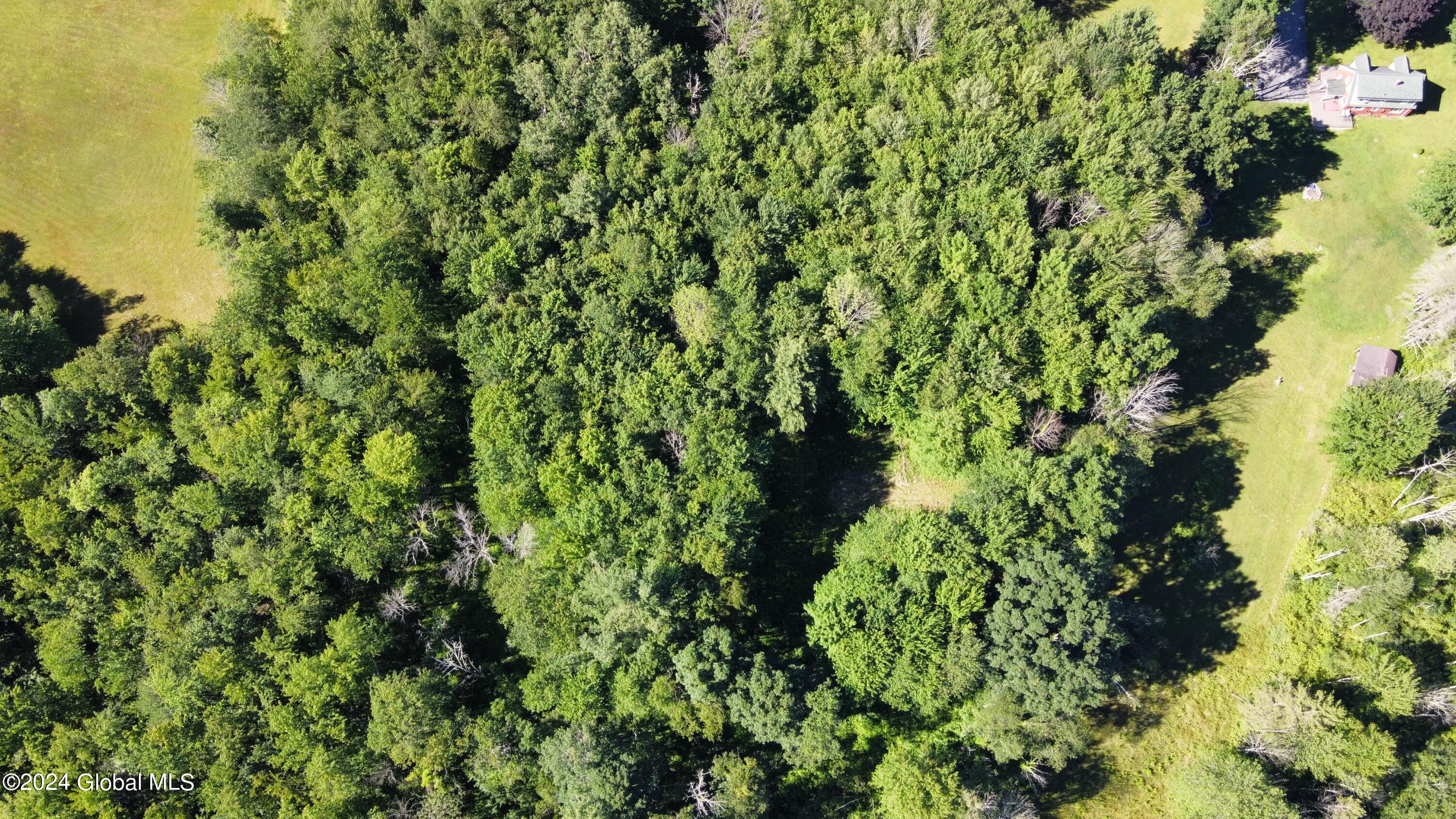 77 Deepkill Road Brunswick, NY 12180 - Photo 11 of 27 20