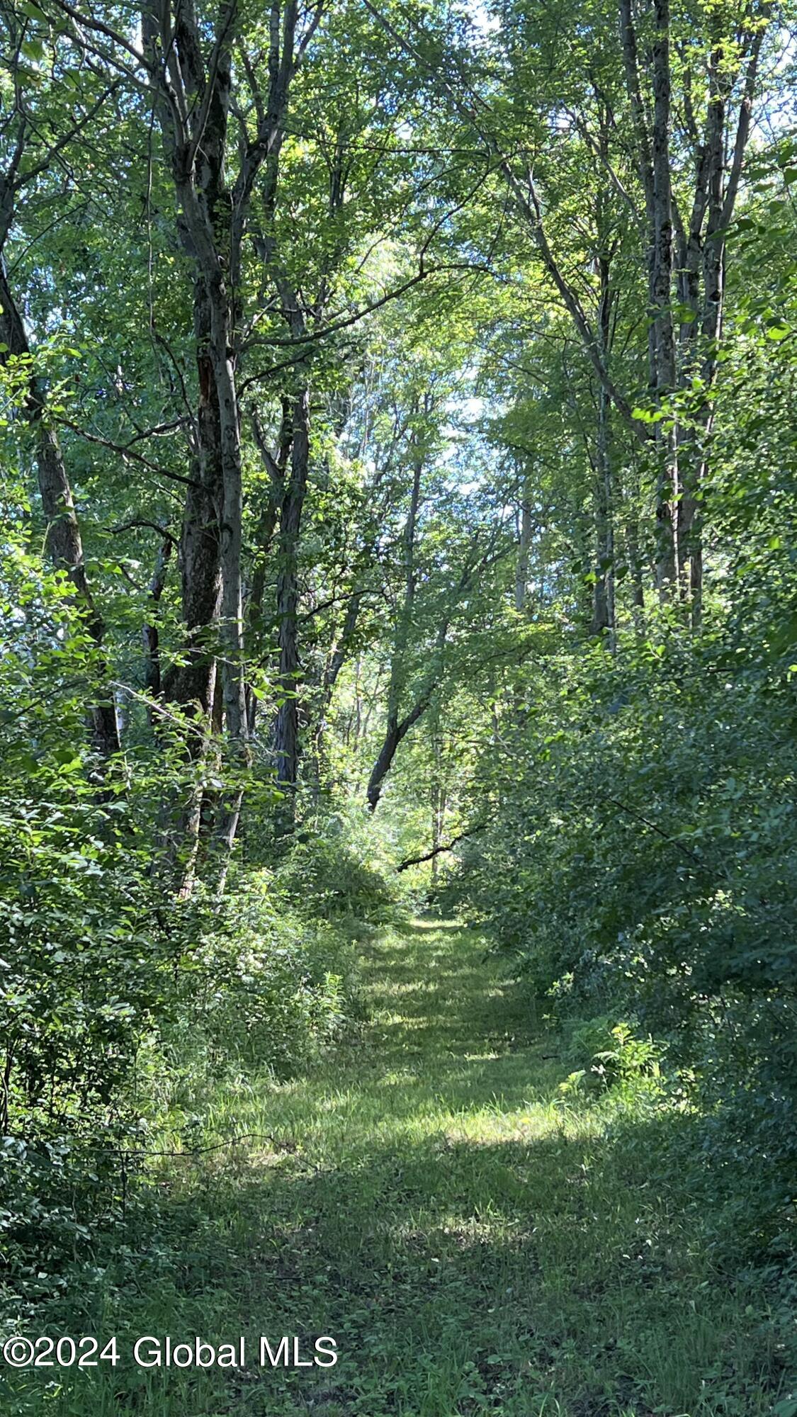 77 Deepkill Road Brunswick, NY 12180 - Photo 19 of 27 IMG_0399