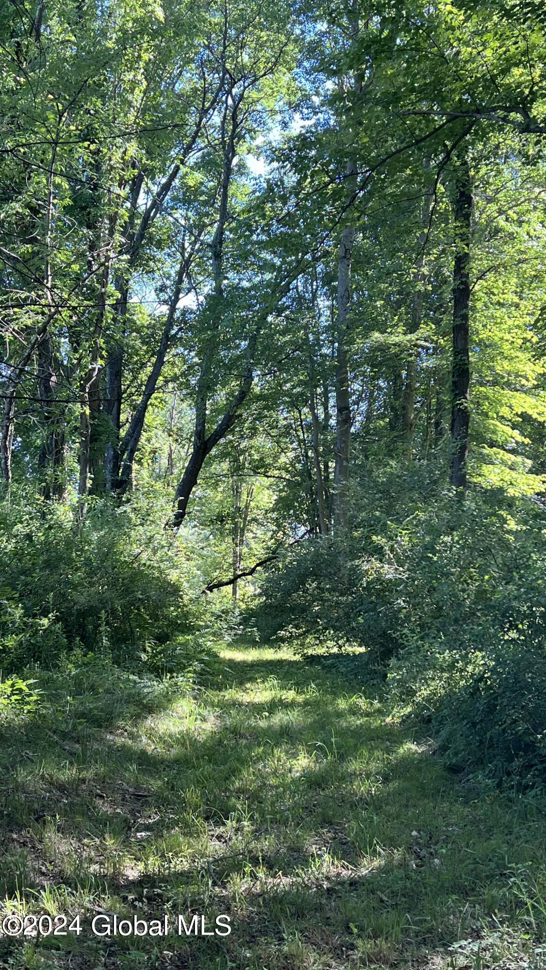 77 Deepkill Road Brunswick, NY 12180 - Photo 20 of 27 IMG_0400