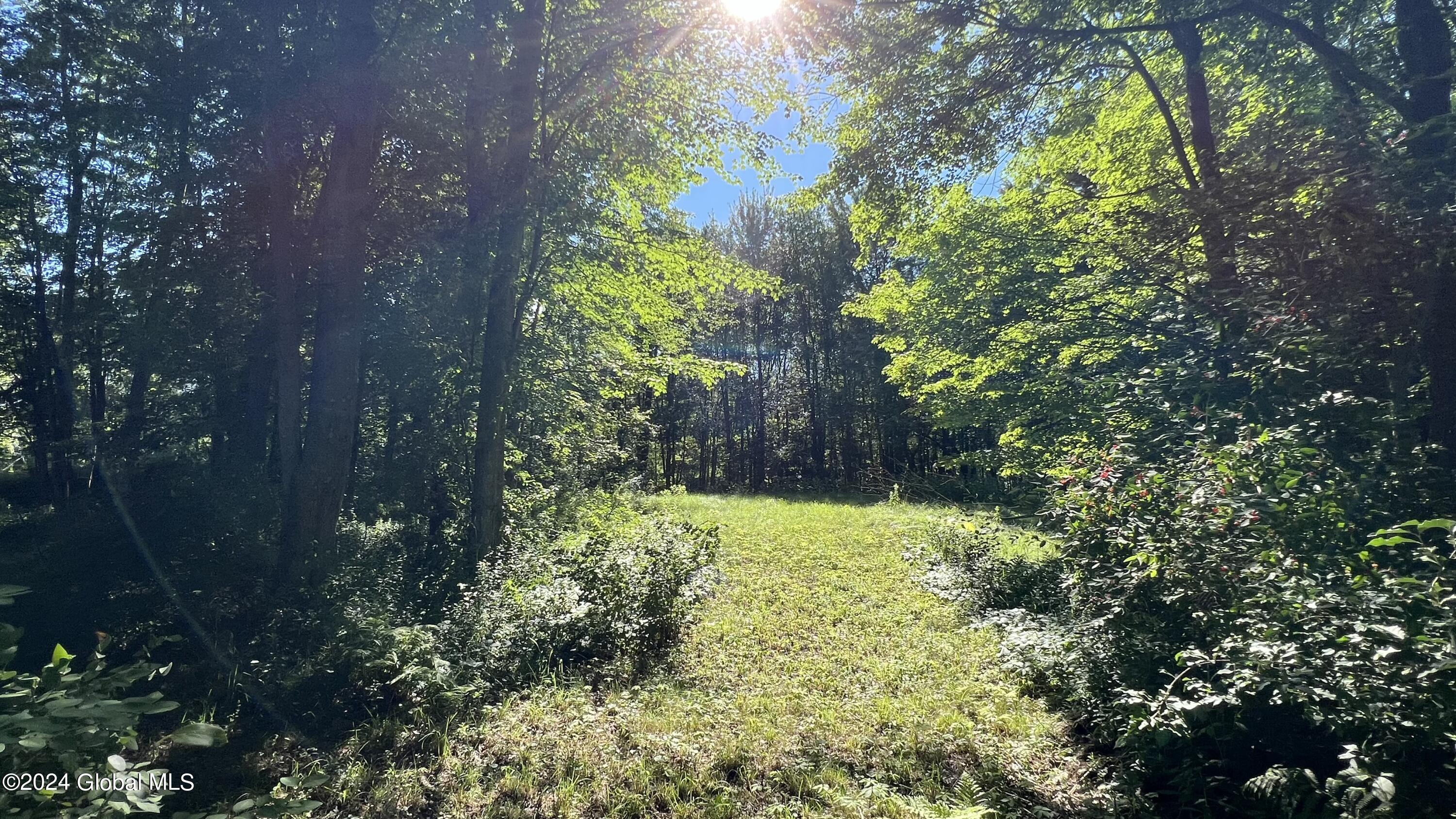 77 Deepkill Road Brunswick, NY 12180 - Photo 21 of 27 IMG_0401