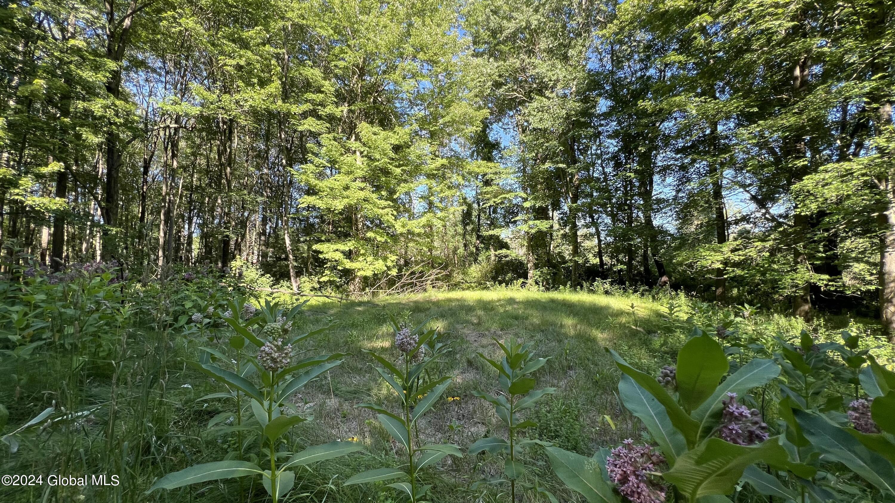 77 Deepkill Road Brunswick, NY 12180 - Photo 23 of 27 IMG_0405