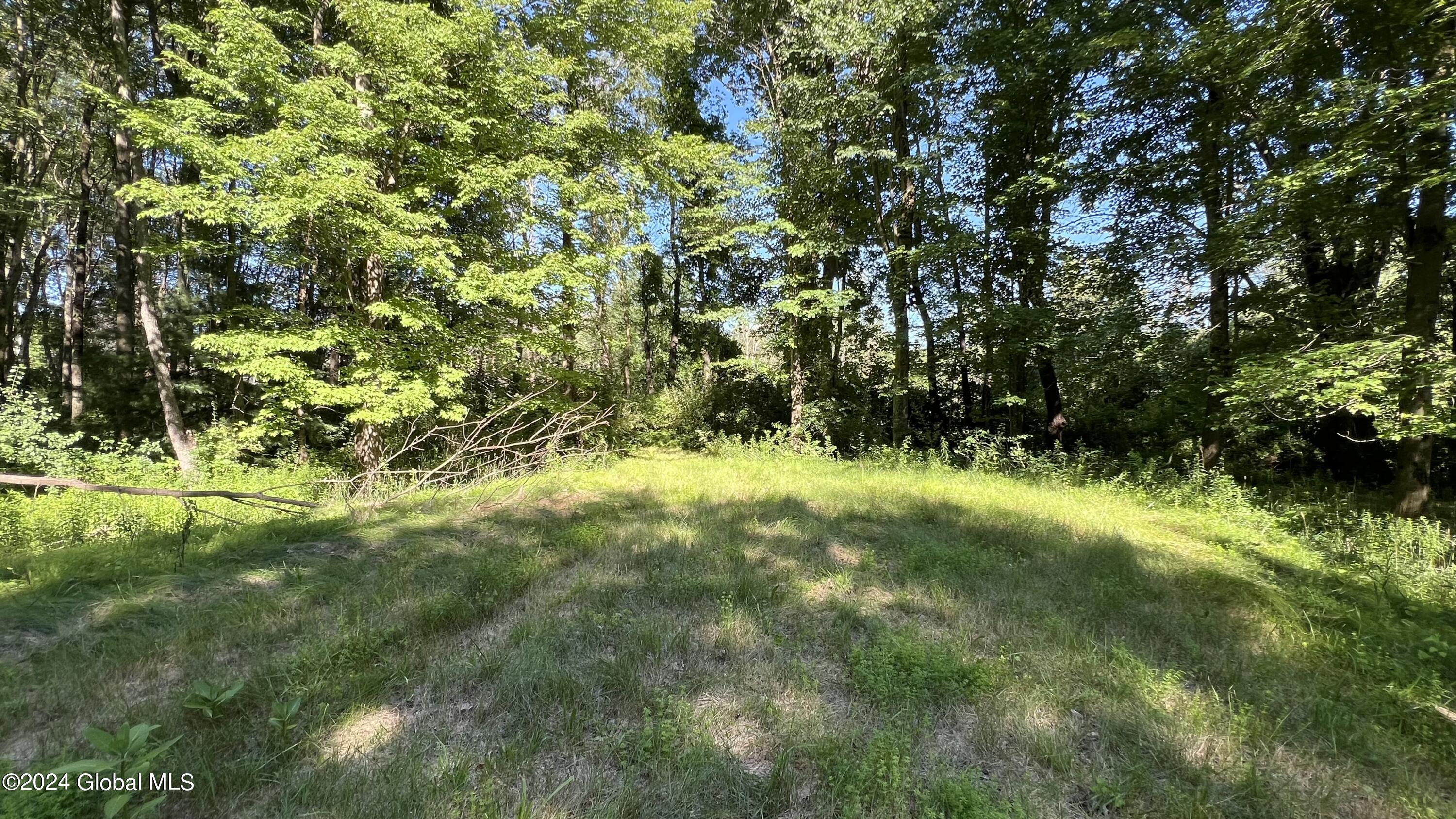 77 Deepkill Road Brunswick, NY 12180 - Photo 24 of 27 IMG_0407