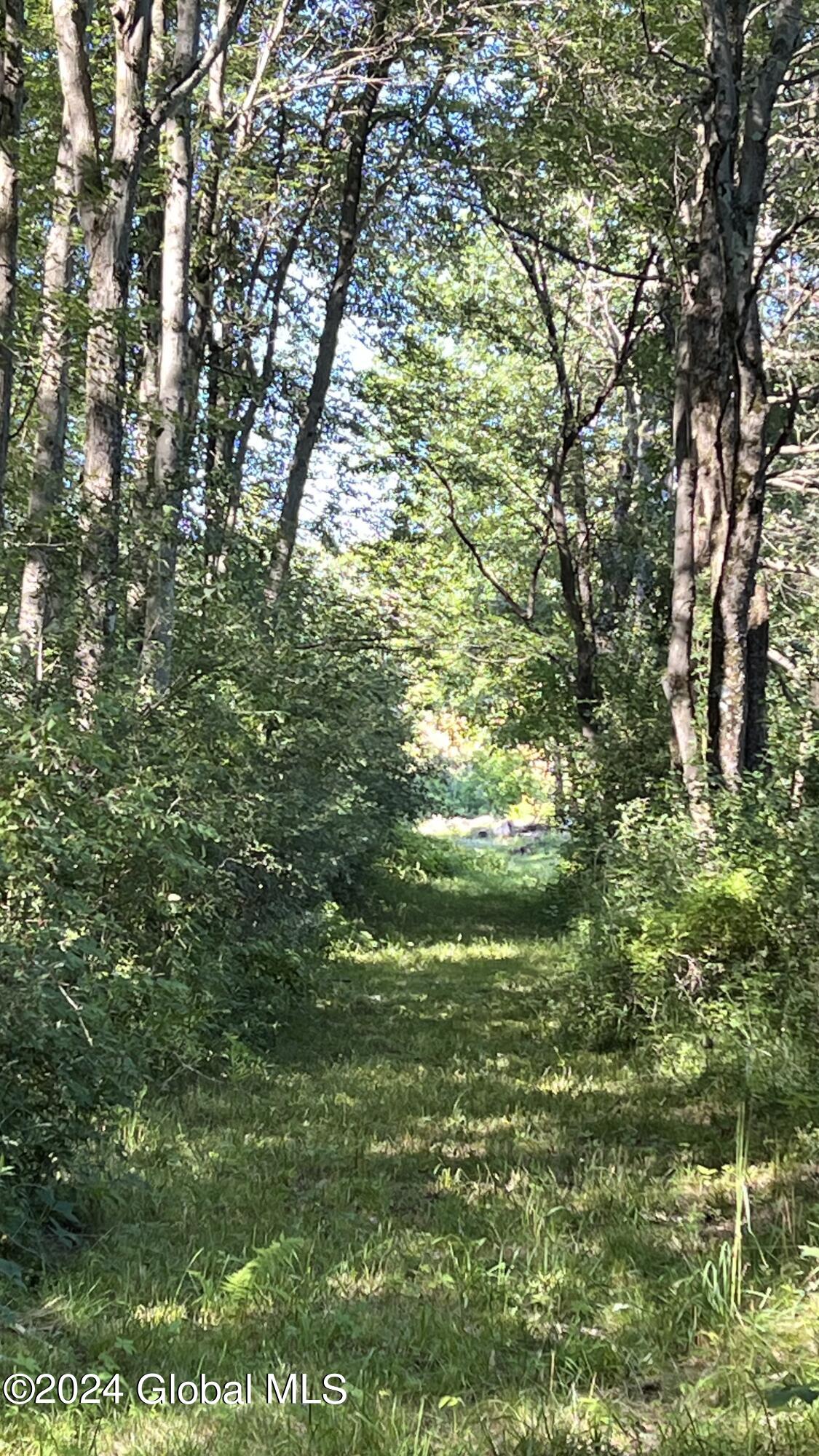 77 Deepkill Road Brunswick, NY 12180 - Photo 25 of 27 IMG_0408