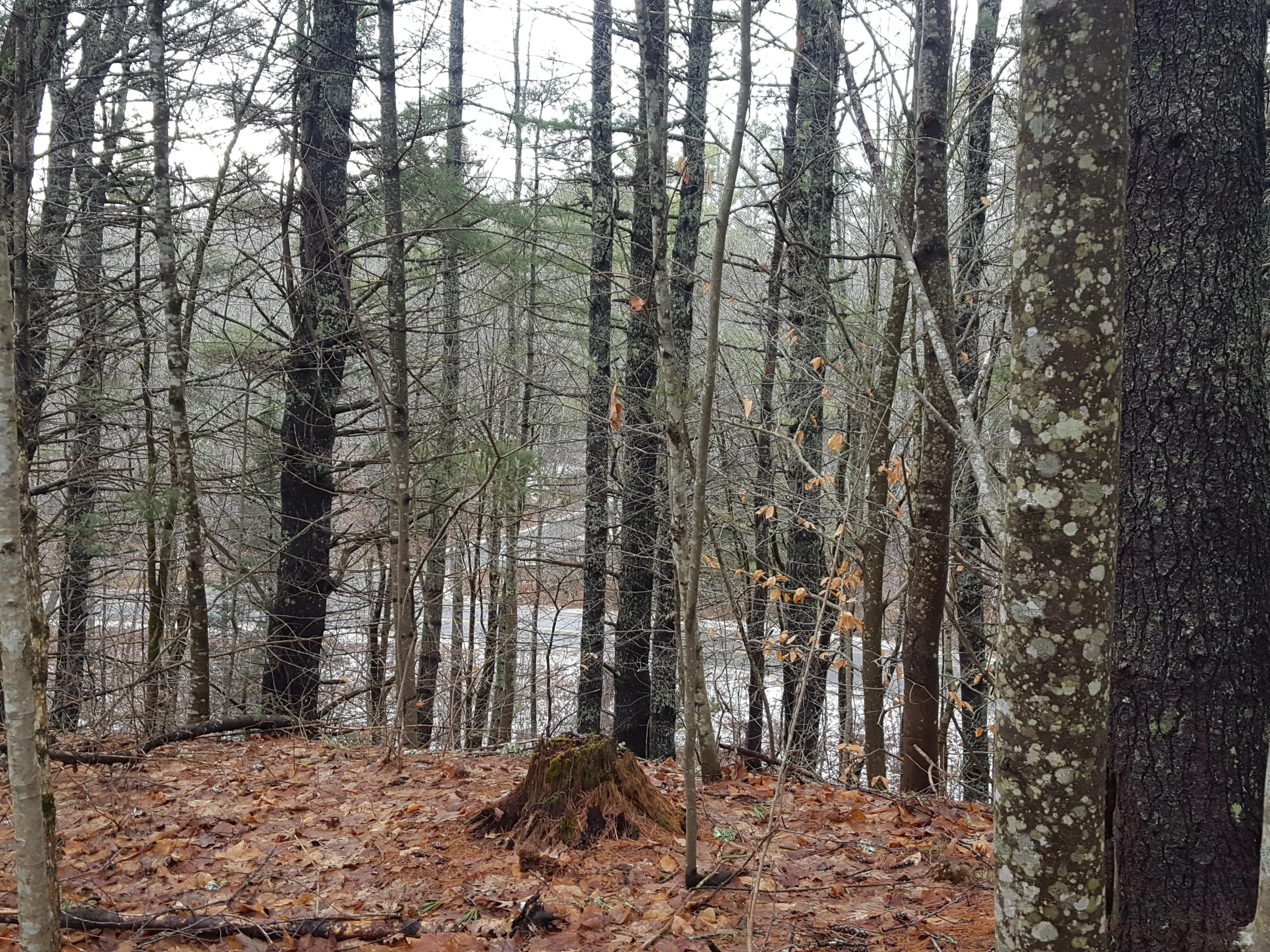 2200 Alna Road Alna, ME 04535 - Photo 18 of 59 20210117_101514