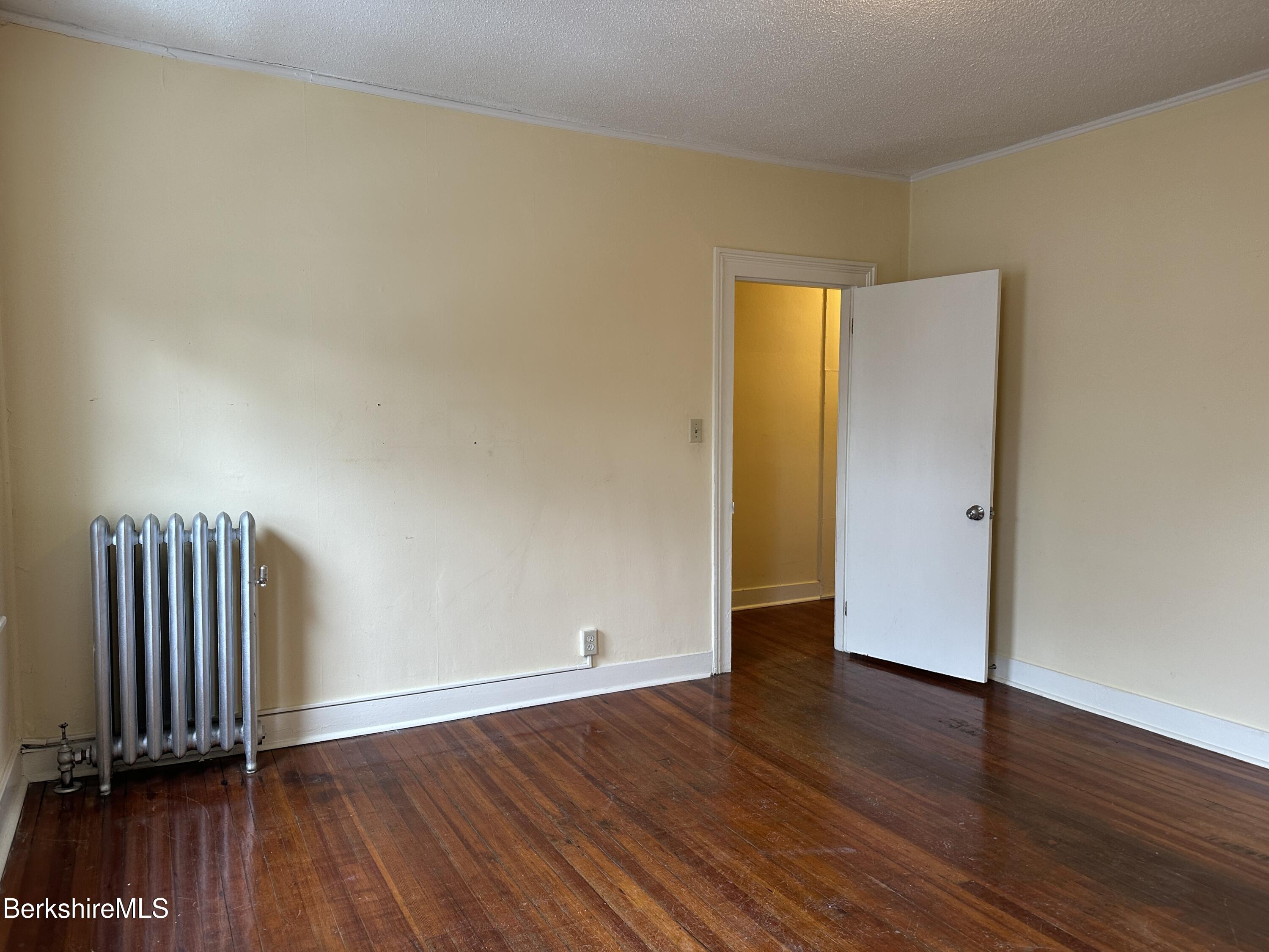 40 Reed Street Pittsfield, MA 01201 - Photo 16 of 28 44-3 Living Room