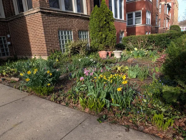 $350,000 | 1326 West Albion Avenue, Unit 1, Chicago, IL 60626
