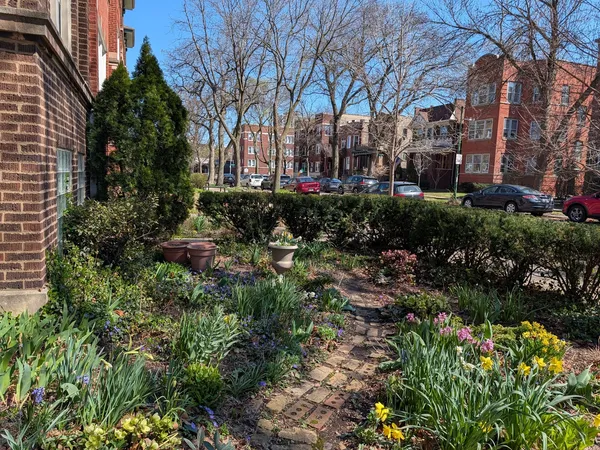 $350,000 | 1326 West Albion Avenue, Unit 1, Chicago, IL 60626