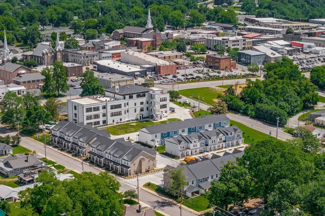 an aerial view of a house with a garden potted plants and large trees