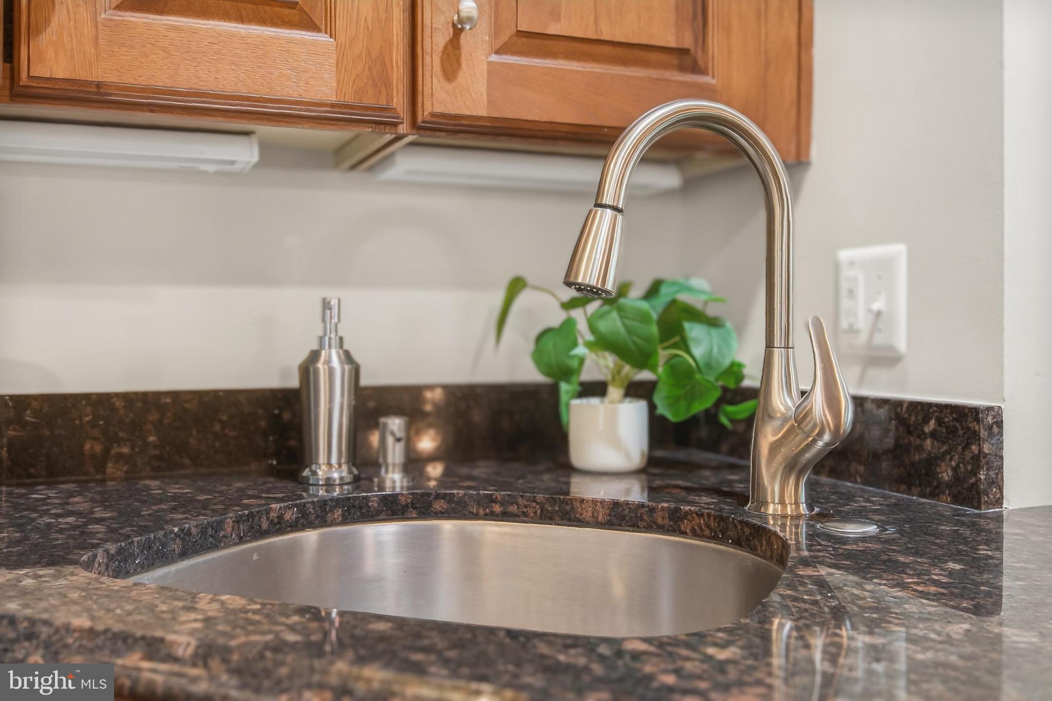 15117 Philip Lee Road Chantilly, VA 20151 - Photo 23 of 80 a close view of sink and tap