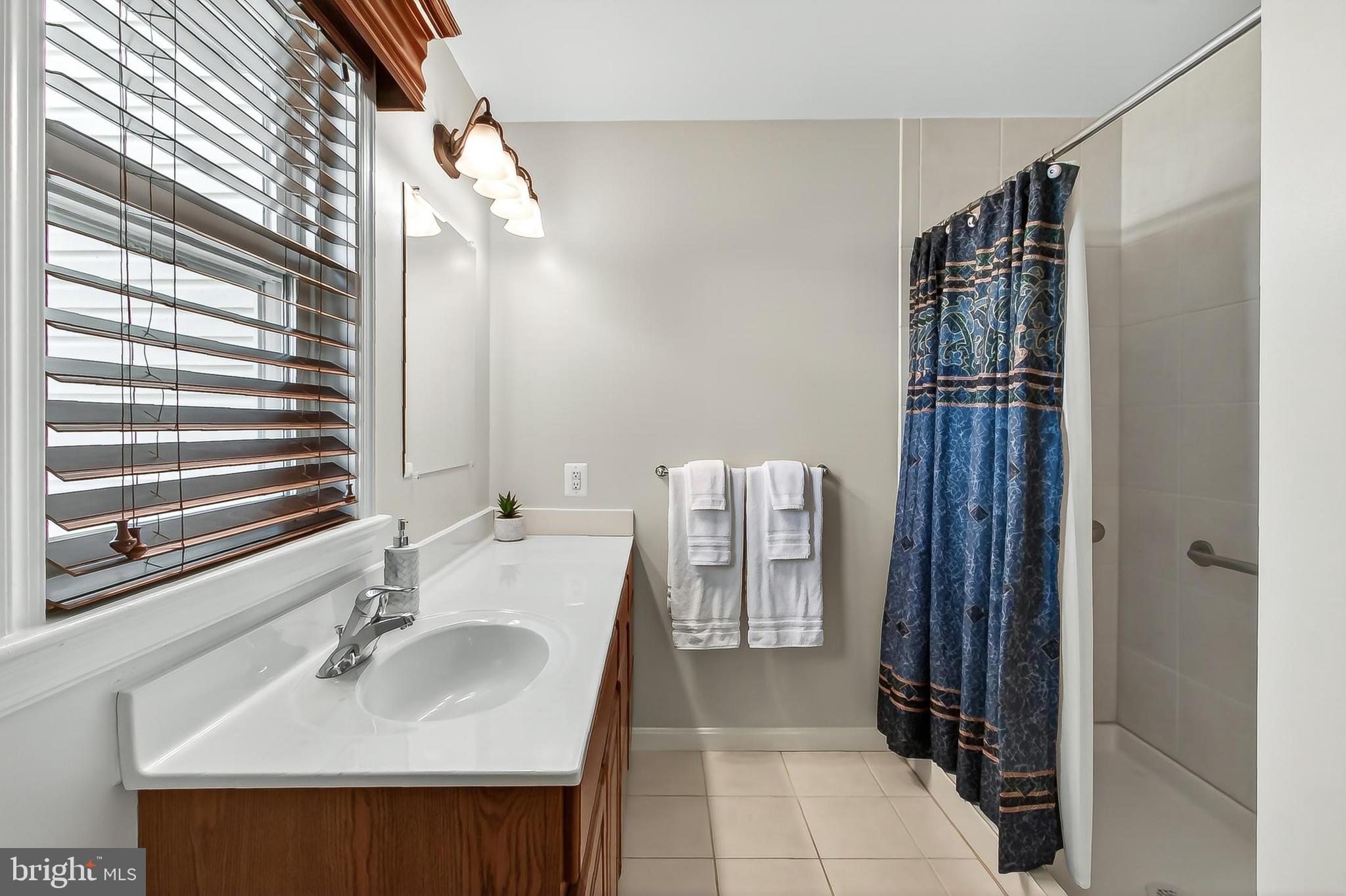 15117 Philip Lee Road Chantilly, VA 20151 - Photo 39 of 71