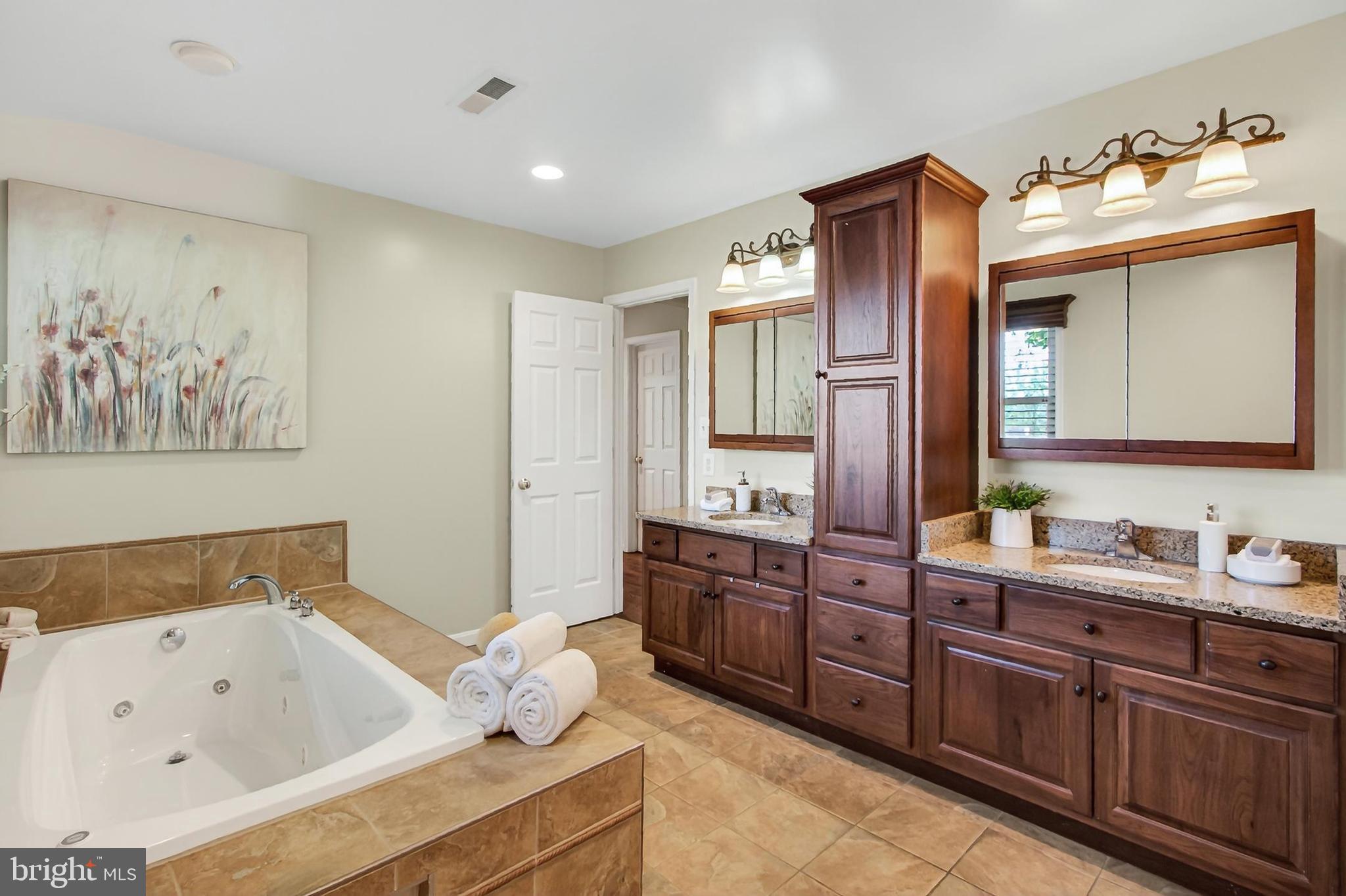 15117 Philip Lee Road Chantilly, VA 20151 - Photo 53 of 80 a bathroom with a tub sink and mirror