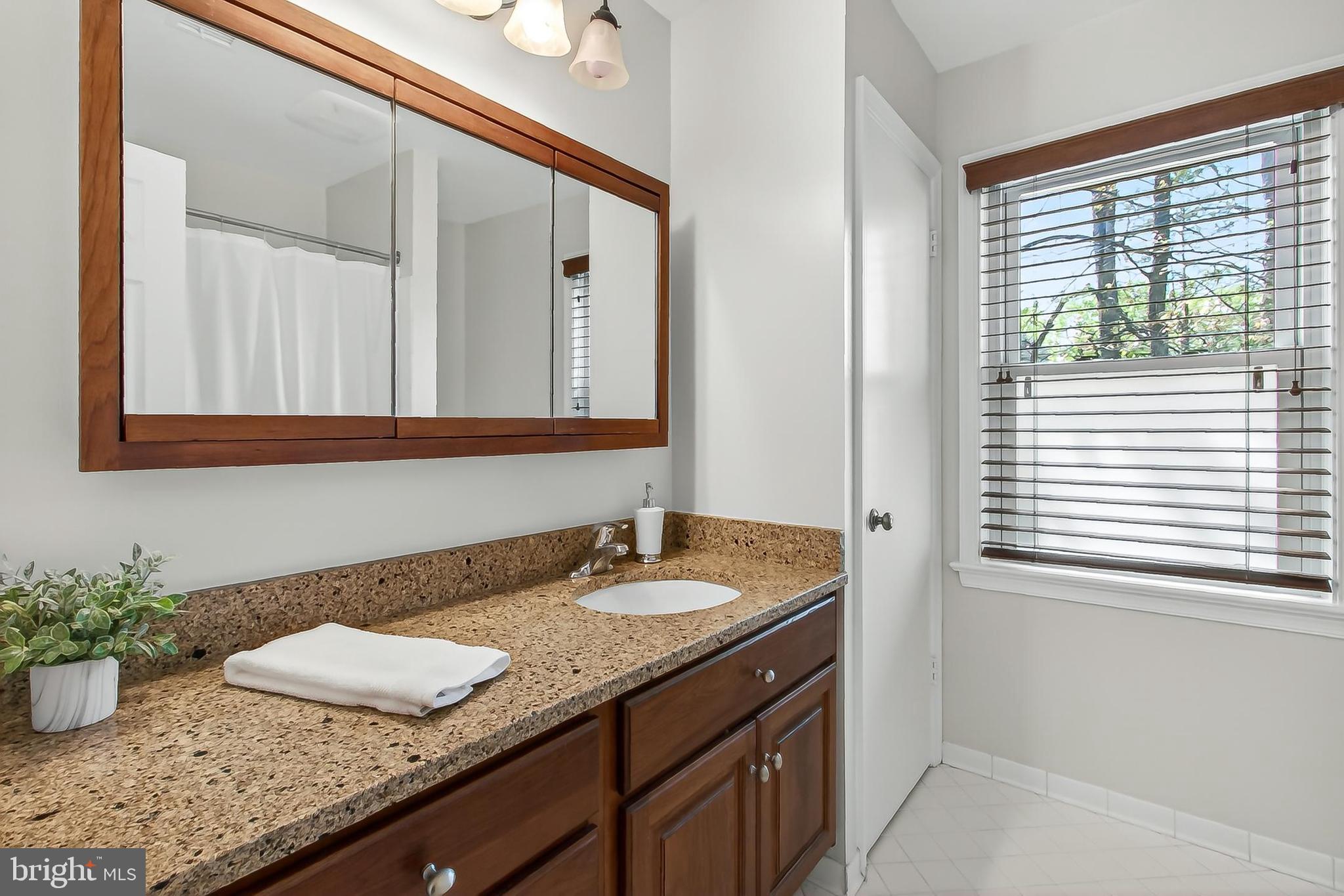 15117 Philip Lee Road Chantilly, VA 20151 - Photo 54 of 71 a bathroom with a granite countertop sink and a mirror