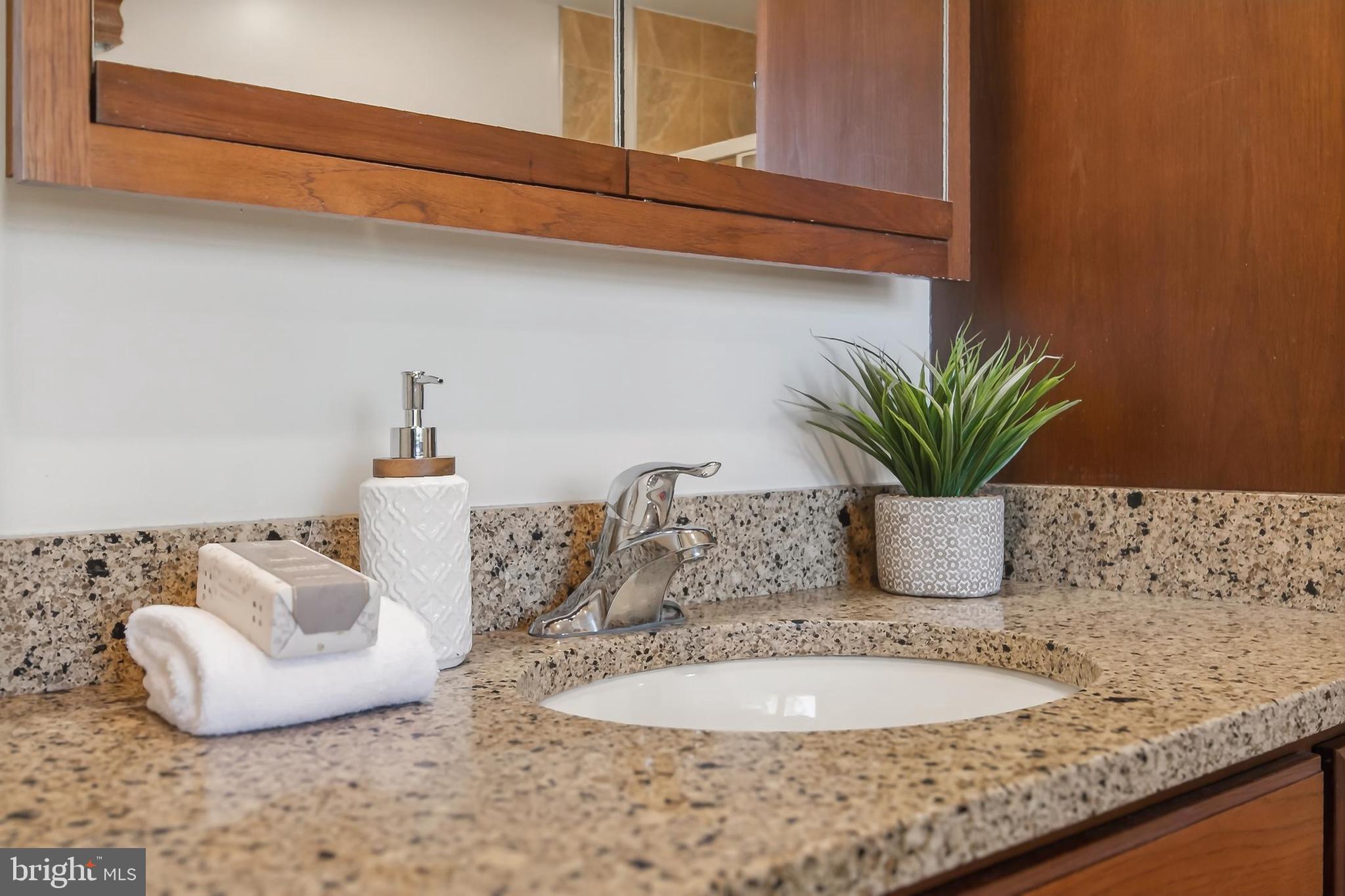 15117 Philip Lee Road Chantilly, VA 20151 - Photo 55 of 80