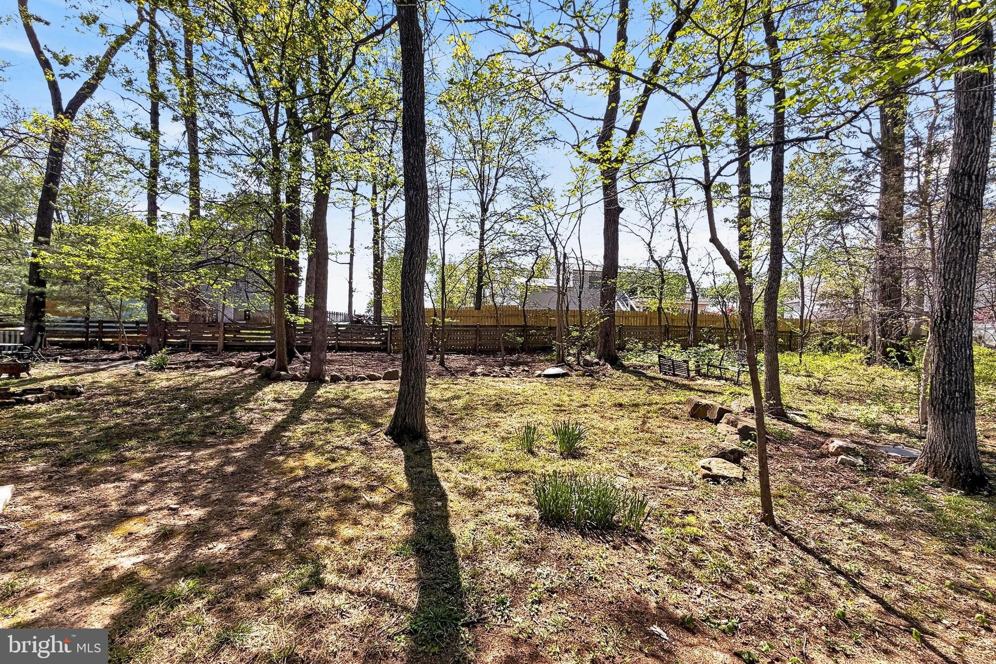 15117 Philip Lee Road Chantilly, VA 20151 - Photo 69 of 71 a view of a yard with trees