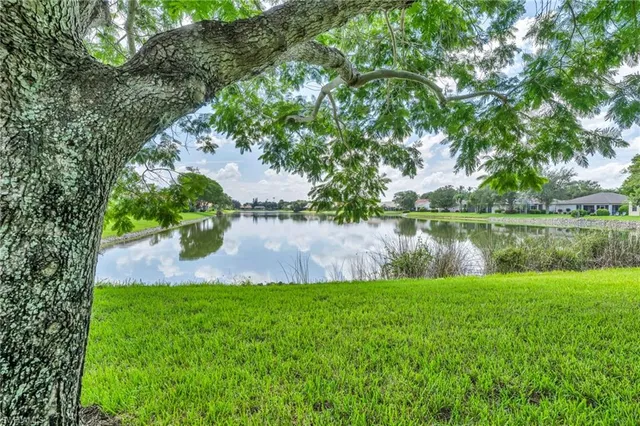 a view of a lake with a yard