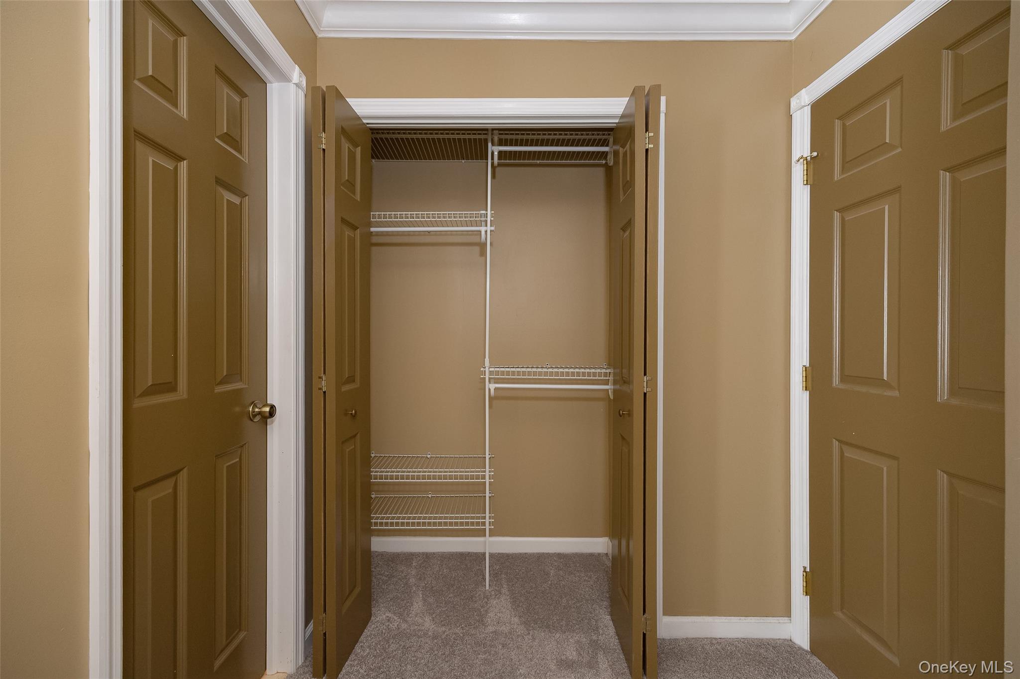 3 Hook Road, Unit 72H Poughkeepsie, NY 12601 - Photo 14 of 23 View of closet