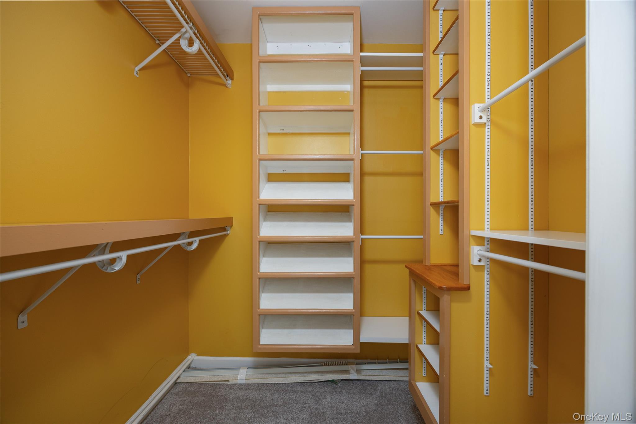 3 Hook Road, Unit 72H Poughkeepsie, NY 12601 - Photo 15 of 23 Walk in closet featuring light carpet